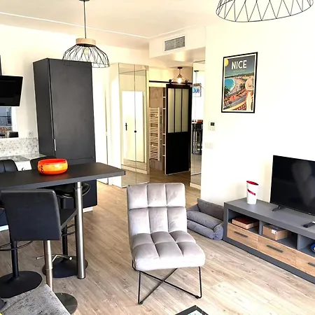 Hyper Centre Massena Appartement