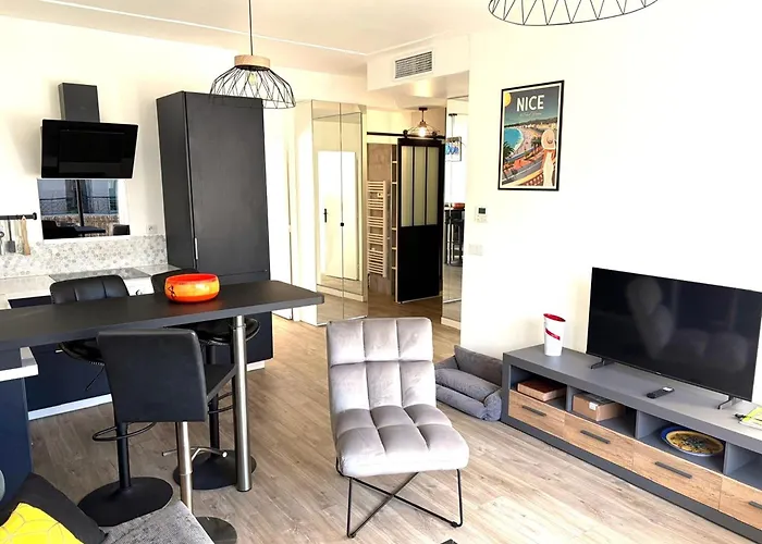 Hyper Centre Massena Appartement